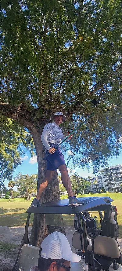 A player standing on a cart roof to retrieve a ball from a tree