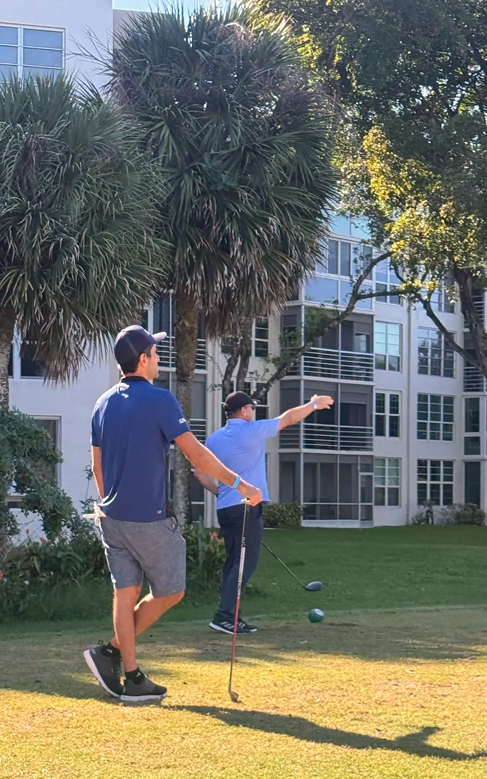 A player watching his tee shot under the palms
